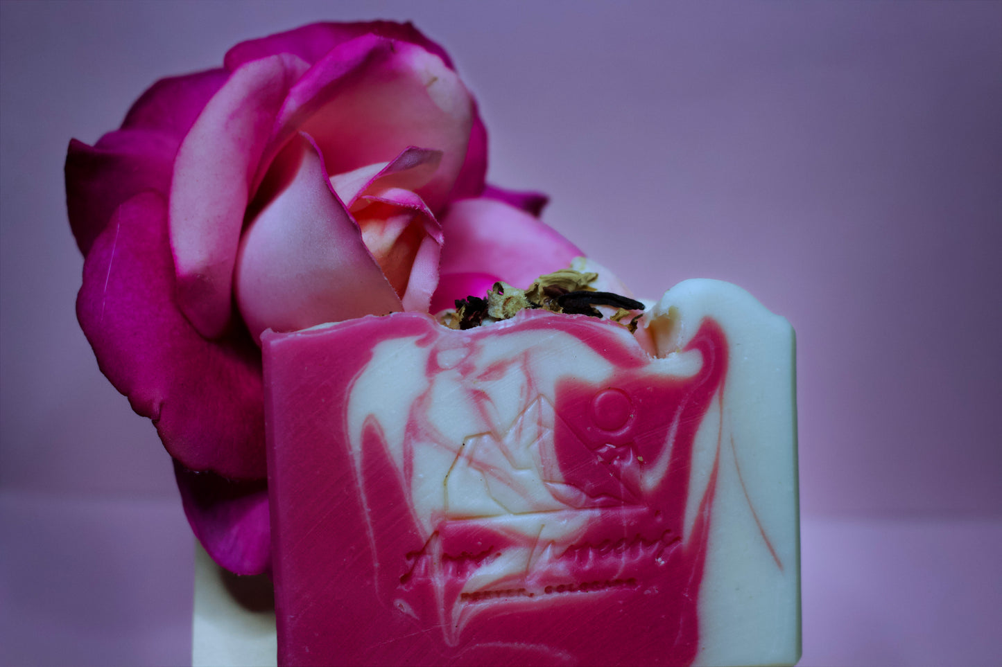 Sweet Rose